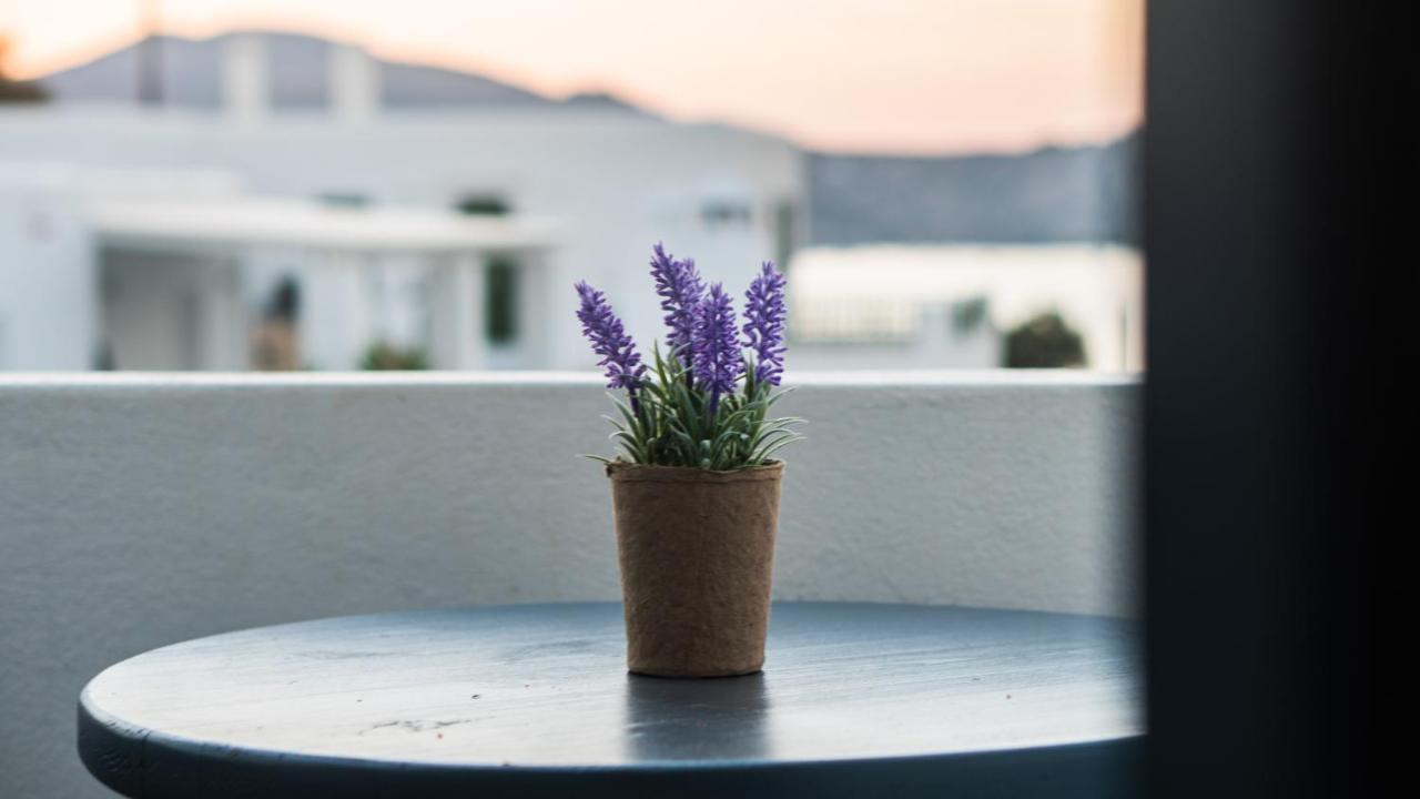 Vista Mare Hotel Naousa  Bagian luar foto